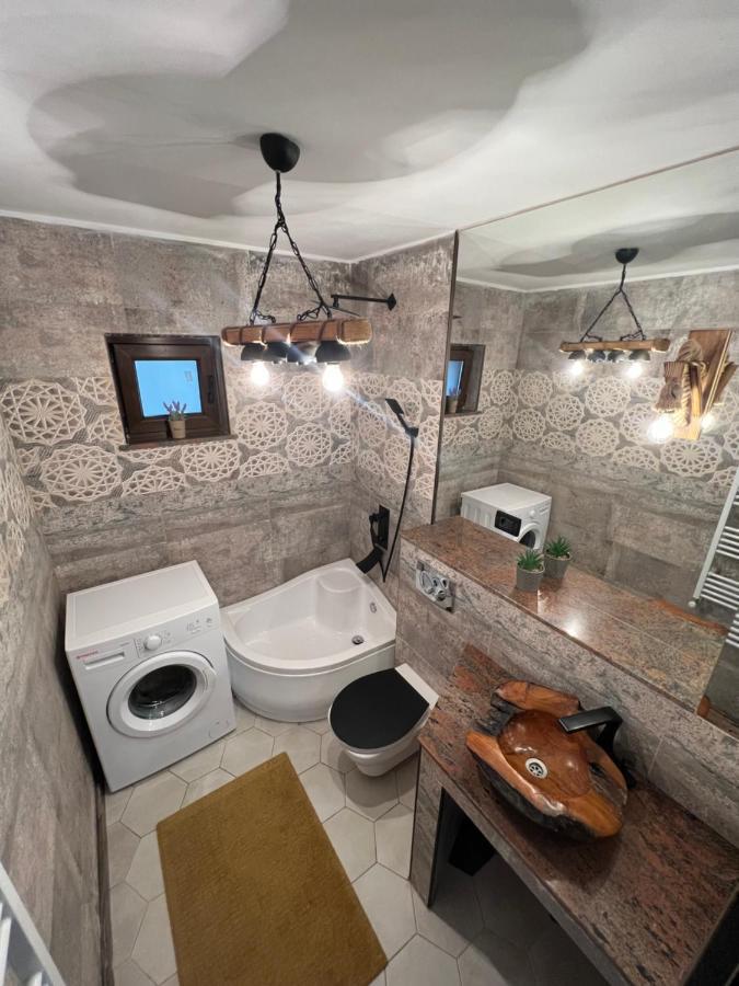Sunny Luxury Home G. Enescu スチャヴァ エクステリア 写真