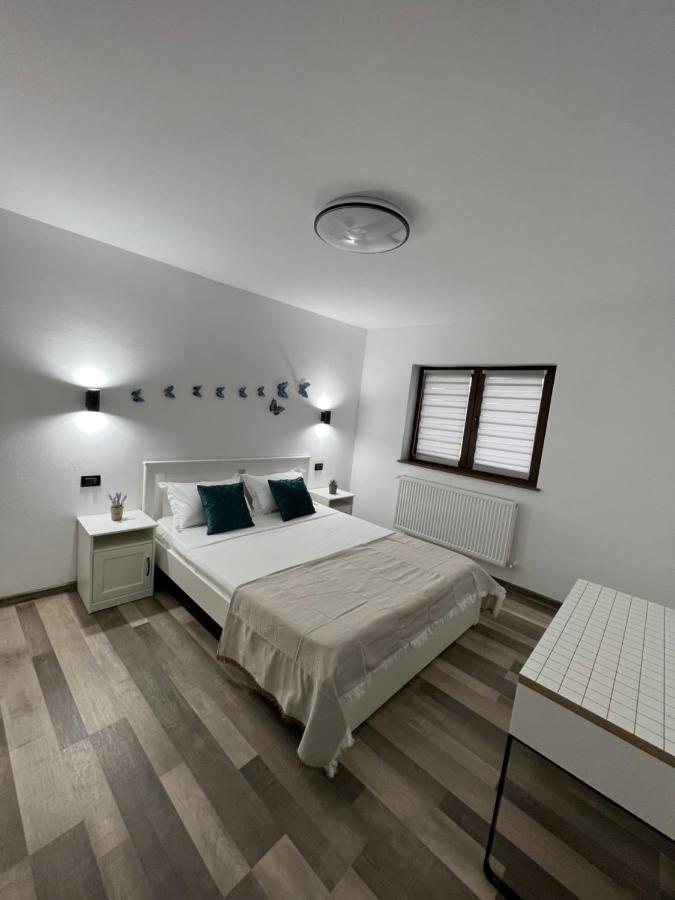 Sunny Luxury Home G. Enescu スチャヴァ エクステリア 写真
