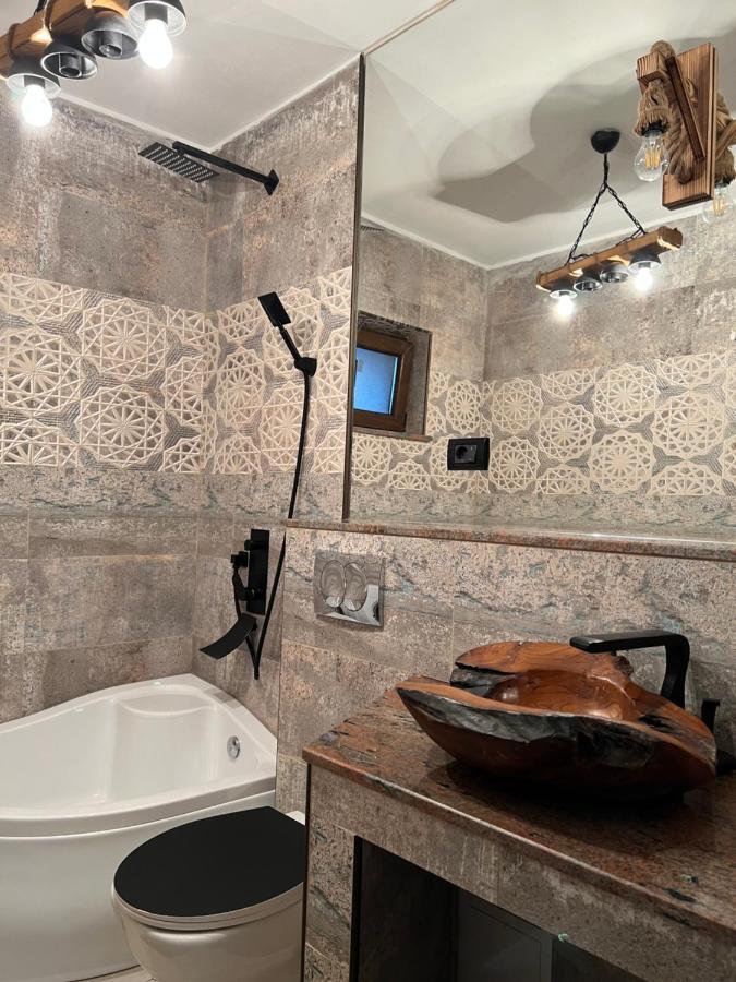 Sunny Luxury Home G. Enescu スチャヴァ エクステリア 写真