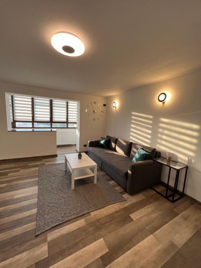 Sunny Luxury Home G. Enescu スチャヴァ エクステリア 写真