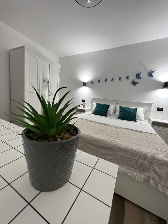 Sunny Luxury Home G. Enescu スチャヴァ エクステリア 写真
