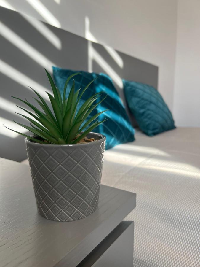 Sunny Luxury Home G. Enescu スチャヴァ エクステリア 写真