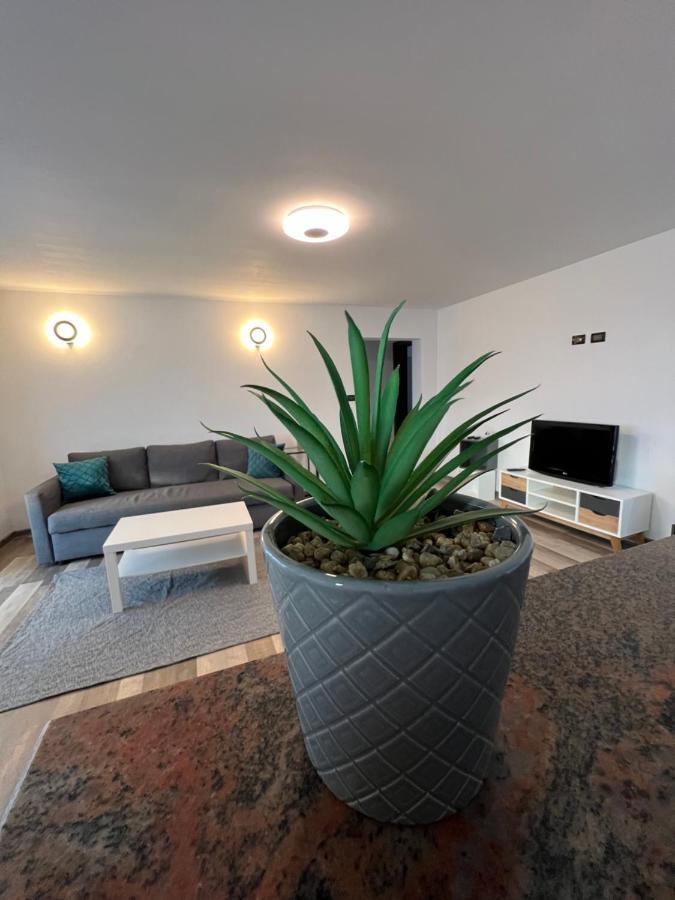 Sunny Luxury Home G. Enescu スチャヴァ エクステリア 写真